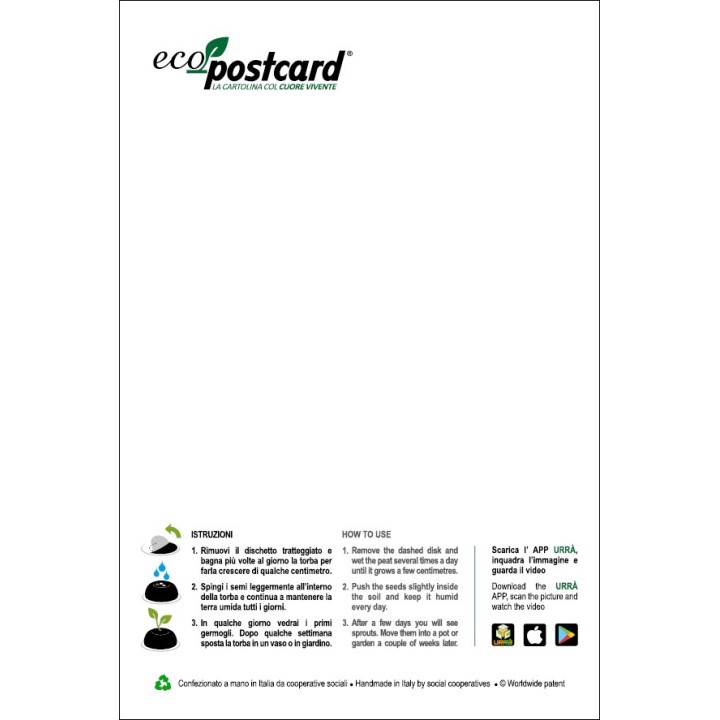 Eco-Postcard cartolina illustrazione ad acquerello - Girasole