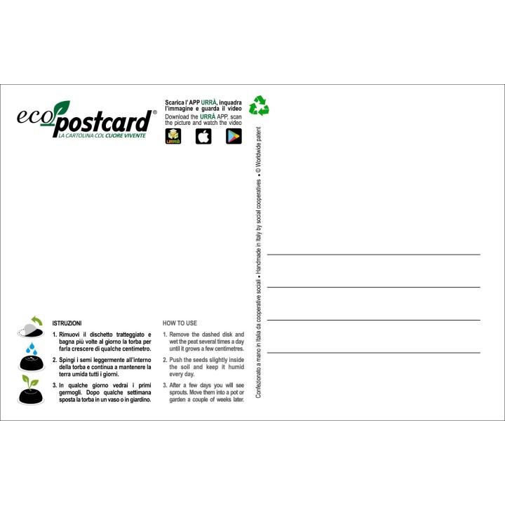 Eco-Postcard da regalare per San Valentino - Viola del pensiero