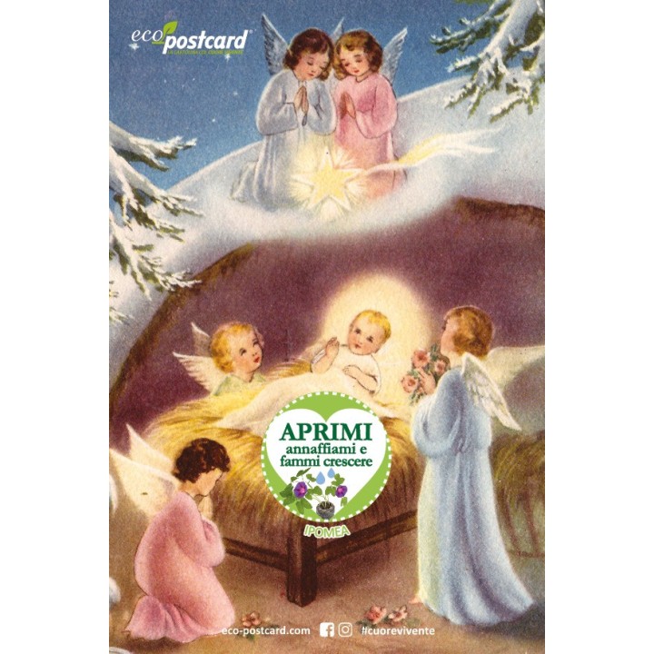 Eco-Postcard Natalizia Angioletti - ipomea