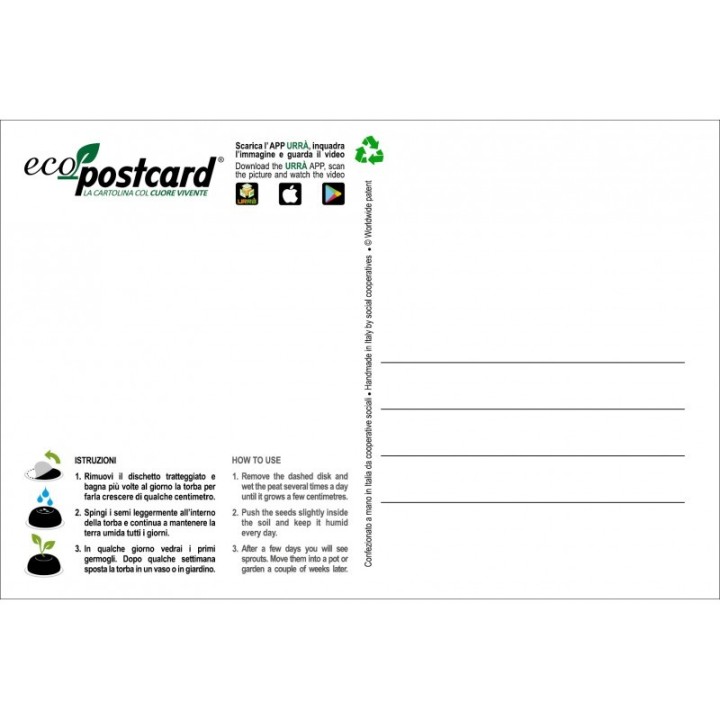 Eco-Postcard Natalizia con Pacchi regalo - tagete