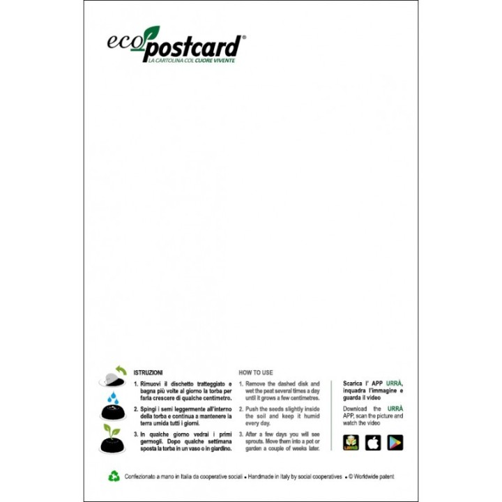 Eco-Postcard Pianta officinale - Salvia