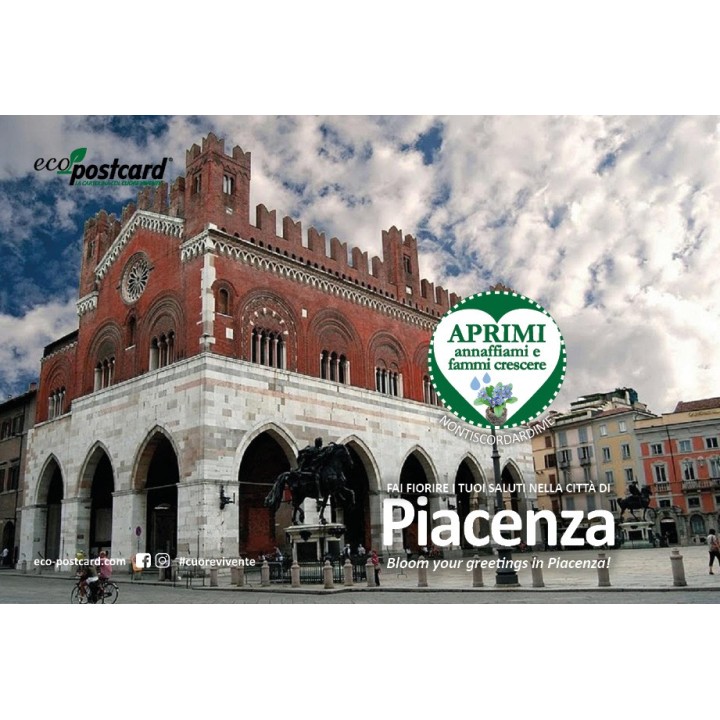 Eco-Postcard Turistica di Piacenza - Nontiscordardimé