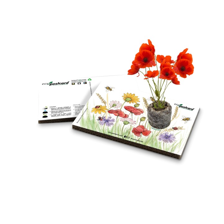 Eco-Postcard Illustrazione ad Acquerello - Papavero