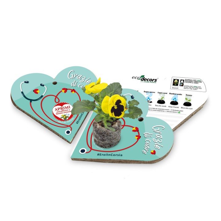 Eco-Decors Biglietto d’auguri ecologico EroiInCorsia – Viola del pensiero