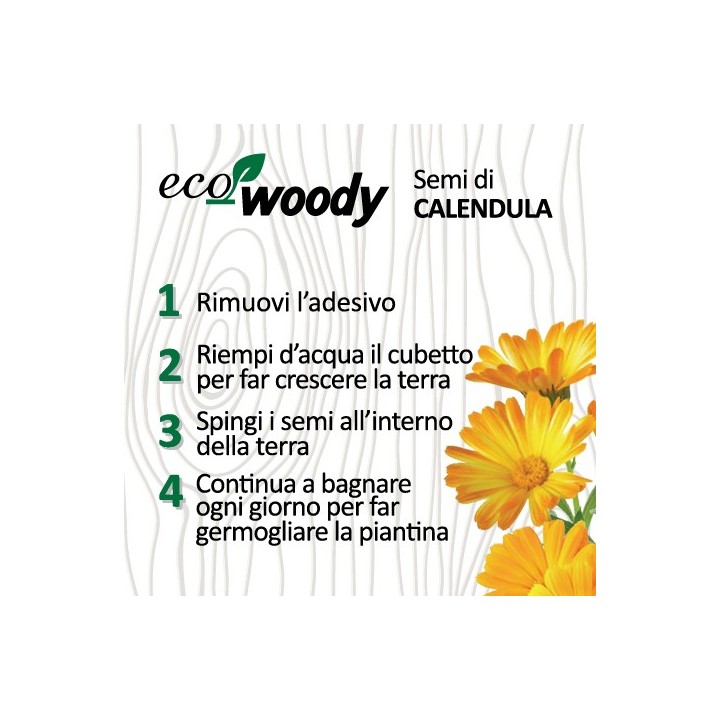 Eco-Woody cubo di legno con semi di Calendula