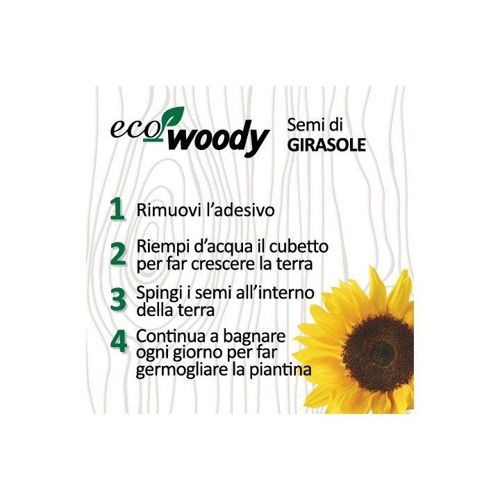 Eco-Woody cubo di legno con semi di Girasole