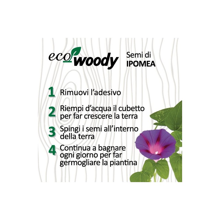 Eco-Woody cubo di legno con semi di Ipomea