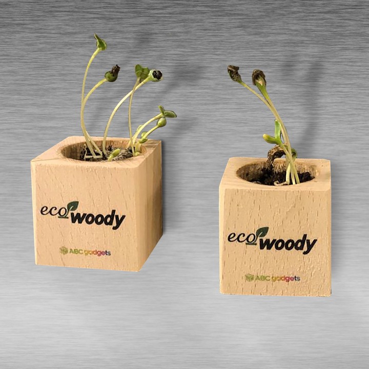 Eco-Woody cubo di legno con semi di Girasole