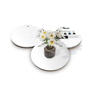 Eco-Decors educativa neutra - Cerchio