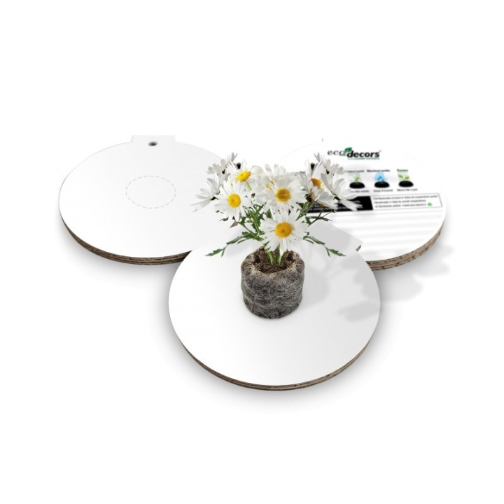 Eco-Decors educativa neutra - Cerchio