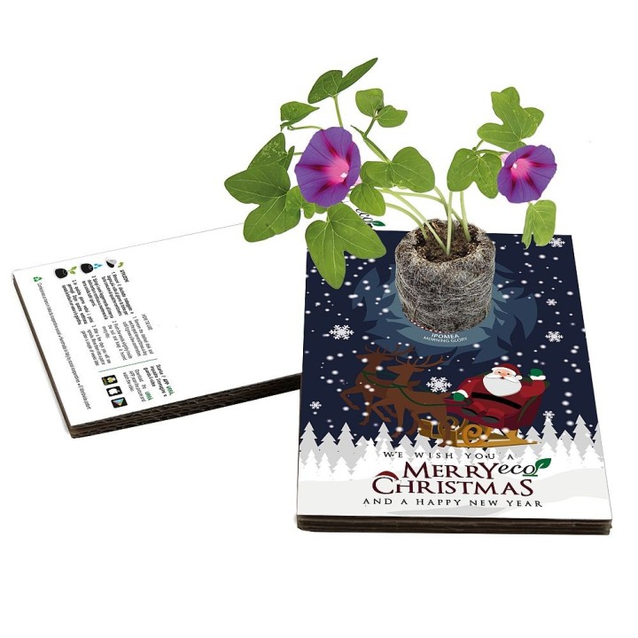 Eco-Postcard Natalizia Merry ECO Christmas - ipomea