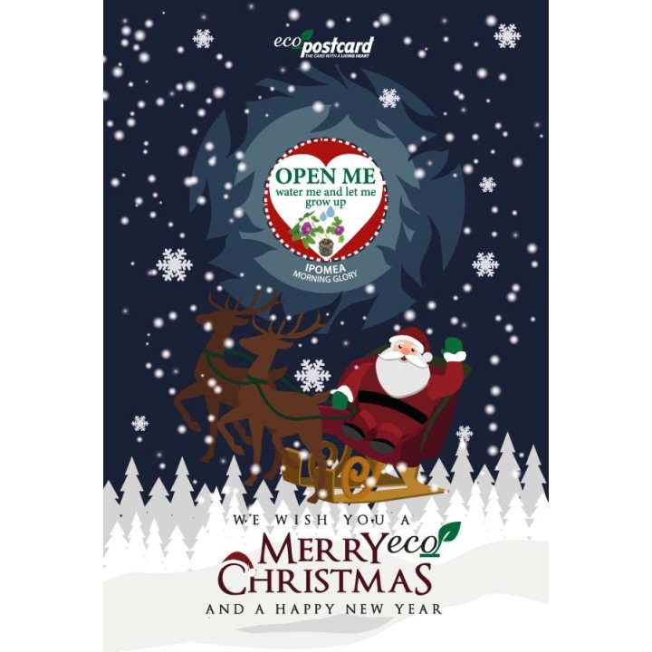 Eco-Postcard Natalizia Merry ECO Christmas - ipomea
