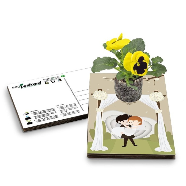Eco-Postcard per annunciare o celebrare il tuo matrimonio - Viola del pensiero