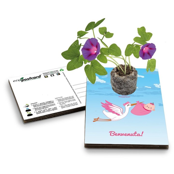 Eco-Postcard Cartolina Ecologica Auguri Nascita bambina - Morning glory