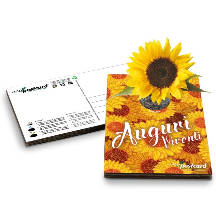 Eco-Postcard cartolina Auguri Viventi con pianta di Girasole
