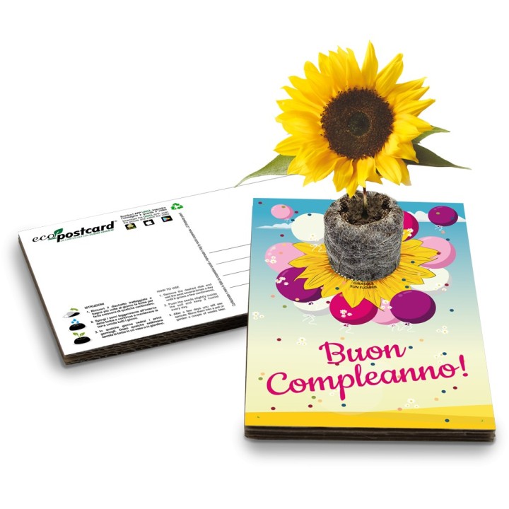Eco-Postcard cartolina Auguri Viventi con pianta di Girasole