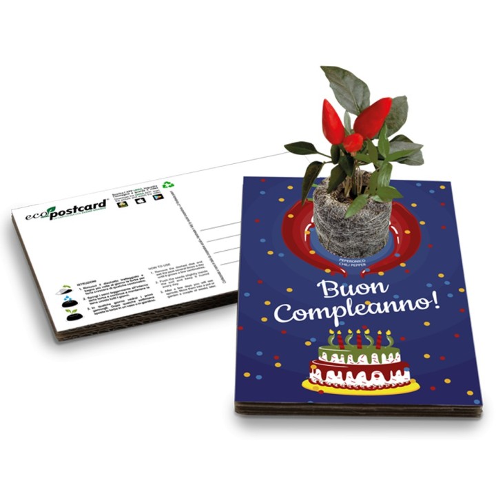 Eco-Postcard cartolina Auguri Viventi con pianta di Girasole