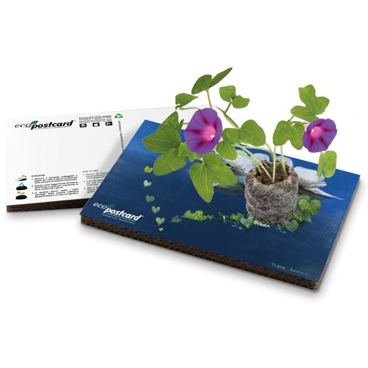 Eco-Postcard Auguri Cigni Tiziana Leobruni