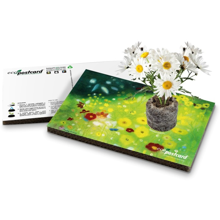 Eco-Postcard fiori estivi Tiziana Leobruni
