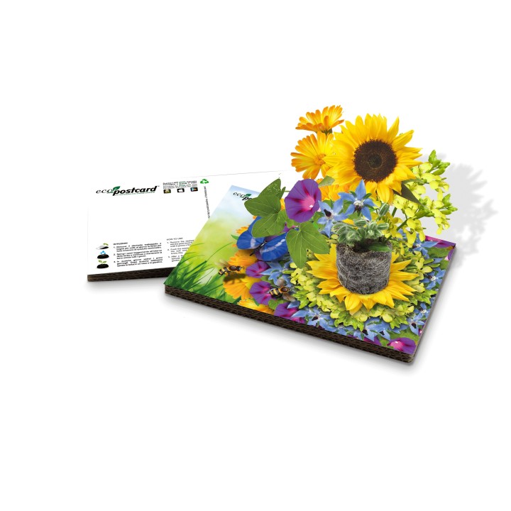 Eco-Postcard cartolina Bee Friends - mix di semi amici delle api