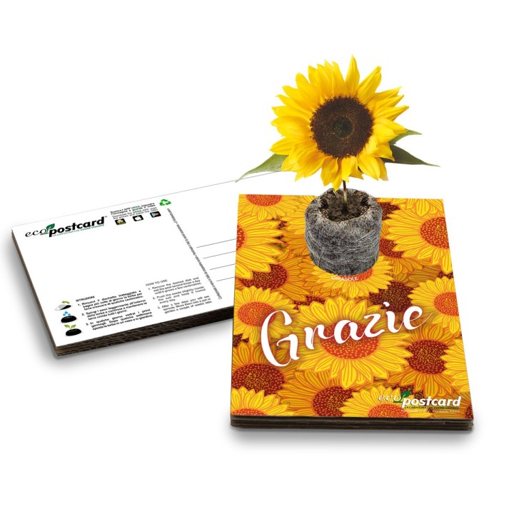 Eco-Postcard - Biglietto Cartolina di Ringraziamento Ecologica con pianta di Morning Glory