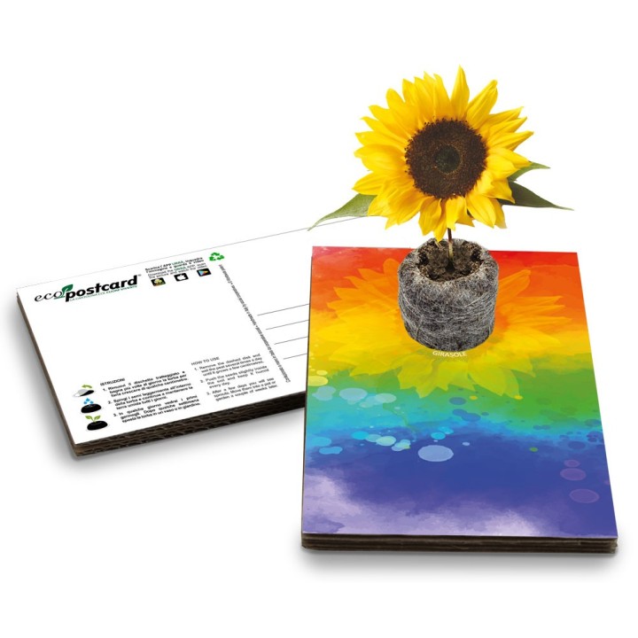 Eco-Postcard Arcobaleno ad Acquerello Girasole LGBT