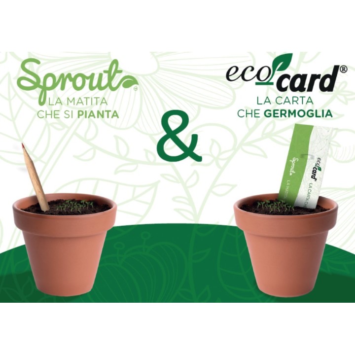SPROUT + ECO-CARD