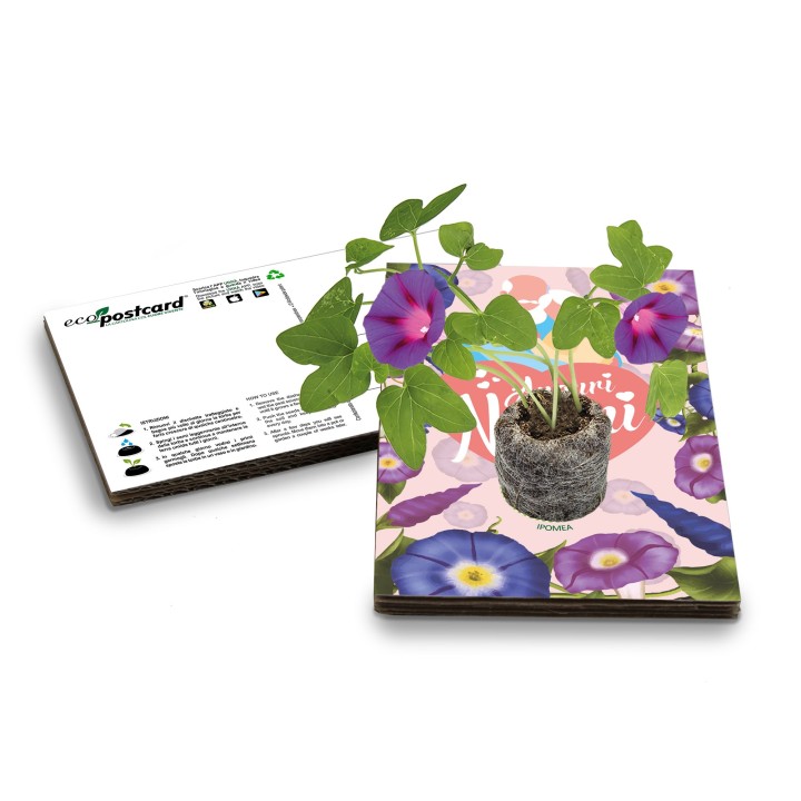 Eco-Postcard Auguri Festa dei Nonni