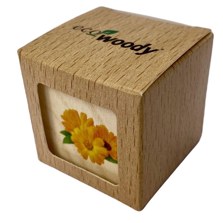 Eco-Woody cubo di legno con semi di Calendula