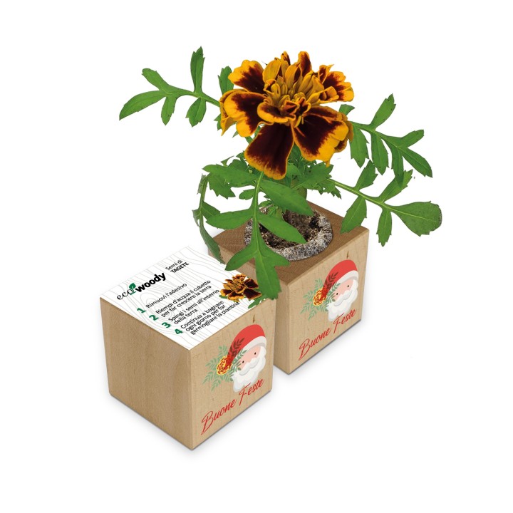 Eco-Woody Natalizio - Cubo di legno 100% ecologico con semi di Tagete