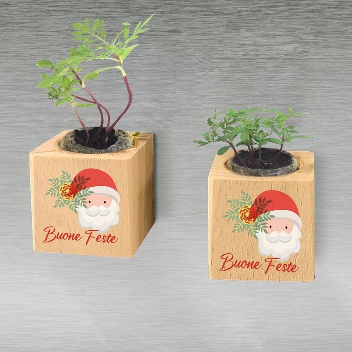 Eco-Woody Natalizio - Cubo di legno 100% ecologico con semi di Tagete