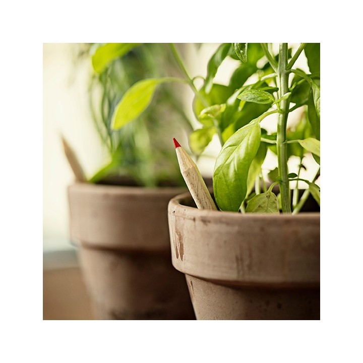 SPROUT matita piantabile con semi