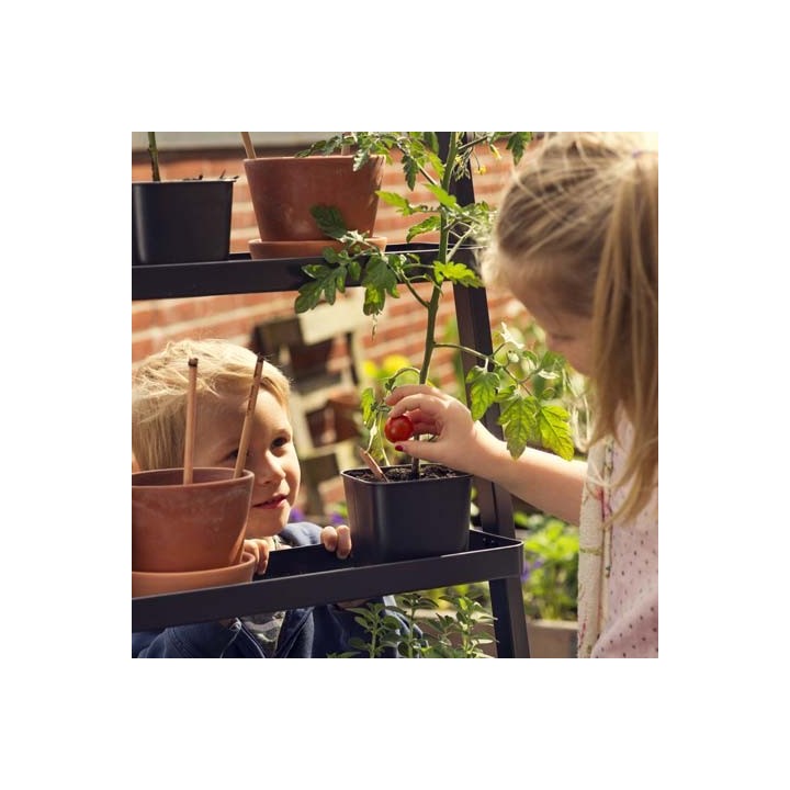 SPROUT matita piantabile con semi