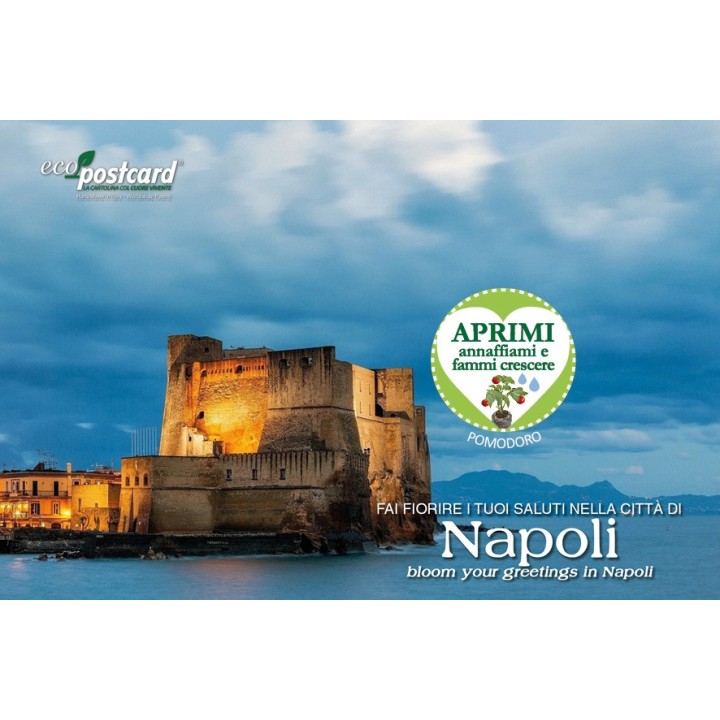 Eco-Postcard cartolina souvenir Golfo di Napoli 