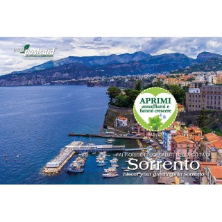 Eco-Postcard cartolina ecologica souvenir Sorrento