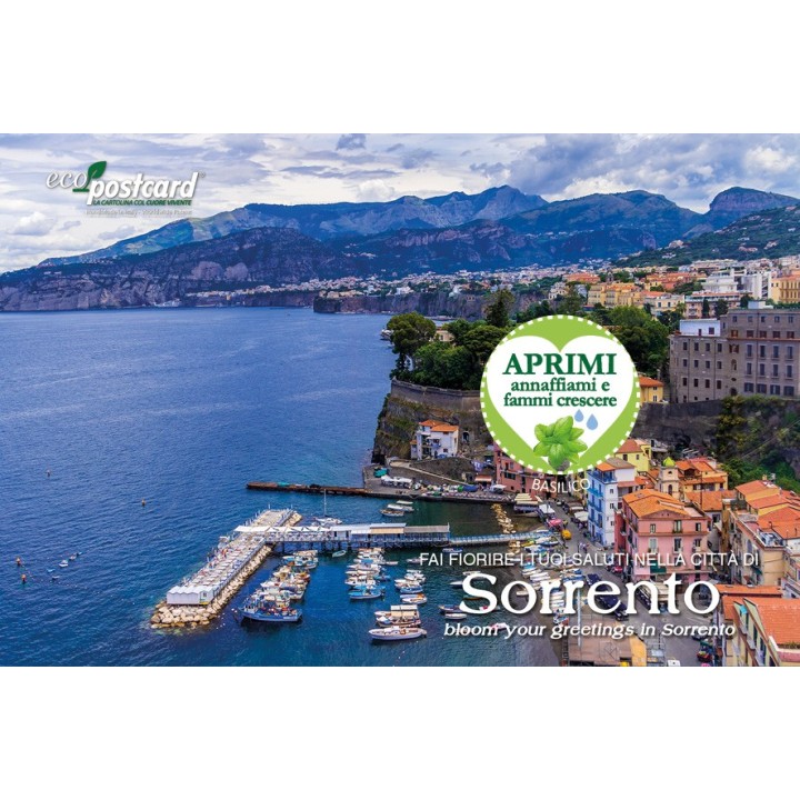Eco-Postcard cartolina ecologica souvenir Sorrento