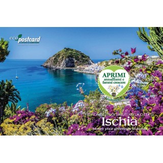 Eco-Postcard cartolina souvenir Ischia