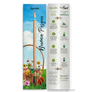 SPROUT + ECO-CARD