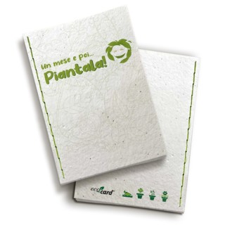 ECO-CARD segnalibro che germoglia piantabile C'E UN LIBRO(5,5x21 cm)