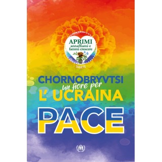 Cartolina Arcobaleno con bandiera PACE PER UCRAINA e semi di Chornobryvtsi
