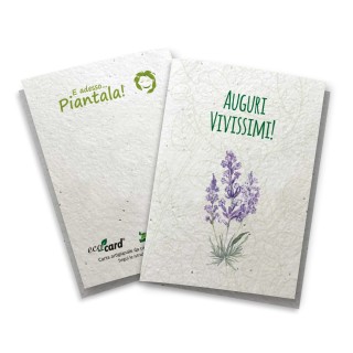 Biglietto Augurale carta piantabile con semi LAVANDA
