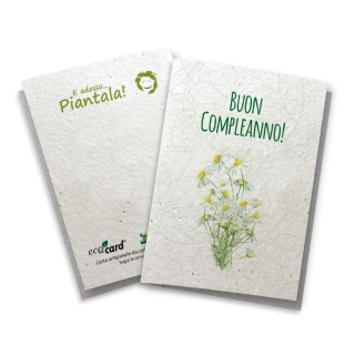 ECOCARD Biglietto Augurale COMPLEANNO in carta piantabile con semi MARGHERITA