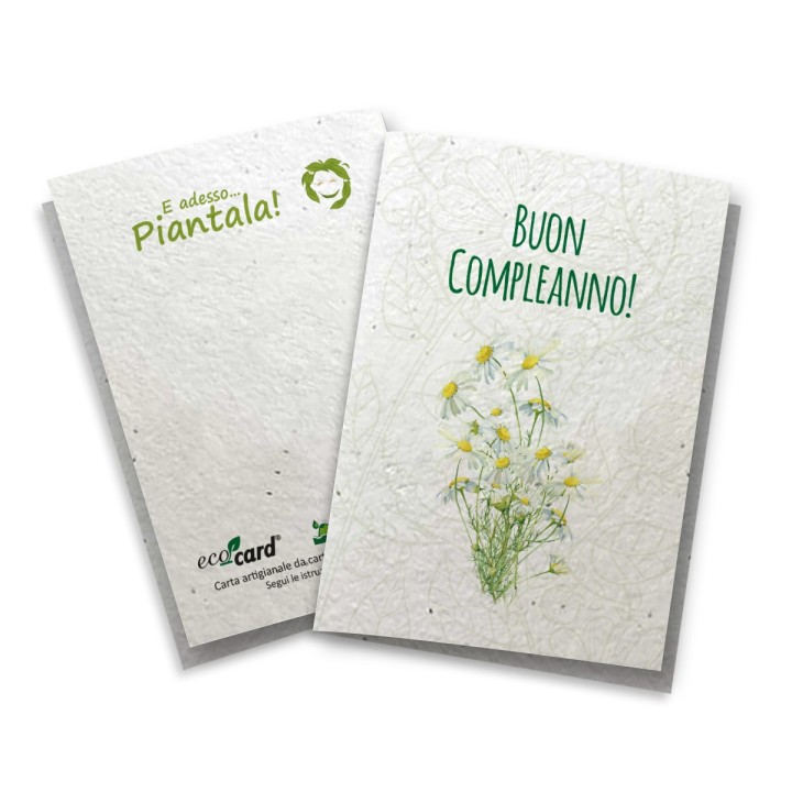 ECOCARD Biglietto Augurale COMPLEANNO in carta piantabile con semi MARGHERITA