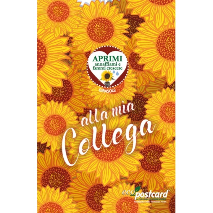 Eco-Postcard cartolina Auguri Regalo Collega con pianta di Girasole