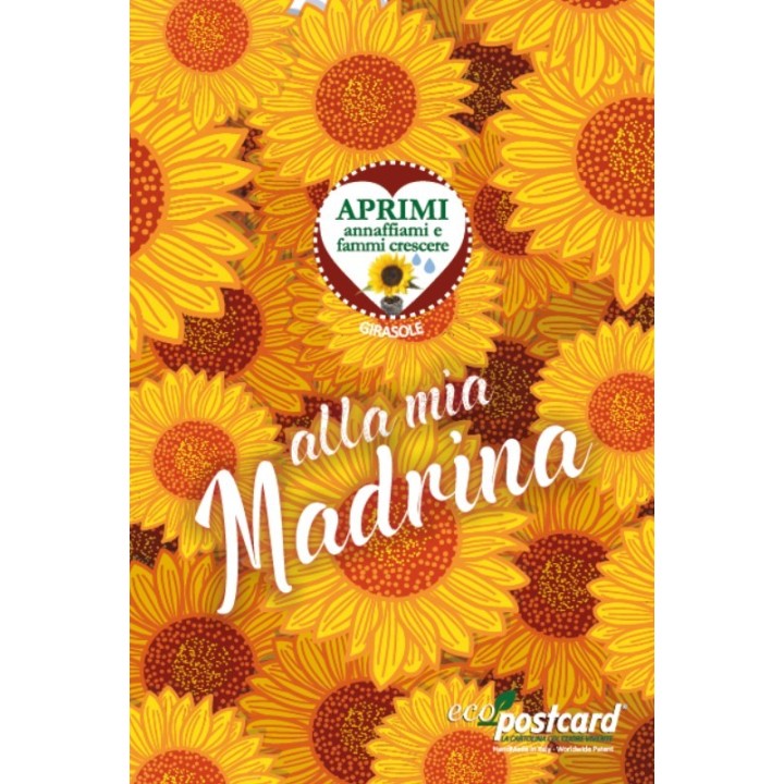 Auguri Regalo Madrina con pianta di Girasole