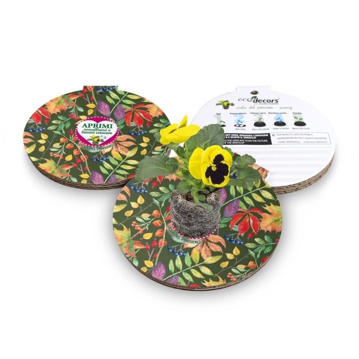 Eco-Decors Pallina ecologica Autunno – Viola del pensiero