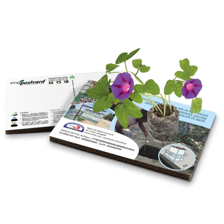 Eco-Postcard AIHIP per Haiti