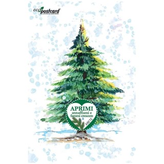 Eco-Postcard cartolina natalizia con pianta di Abete