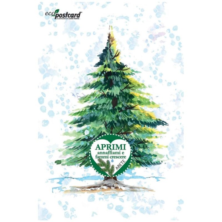 Eco-Postcard cartolina natalizia con pianta di Abete