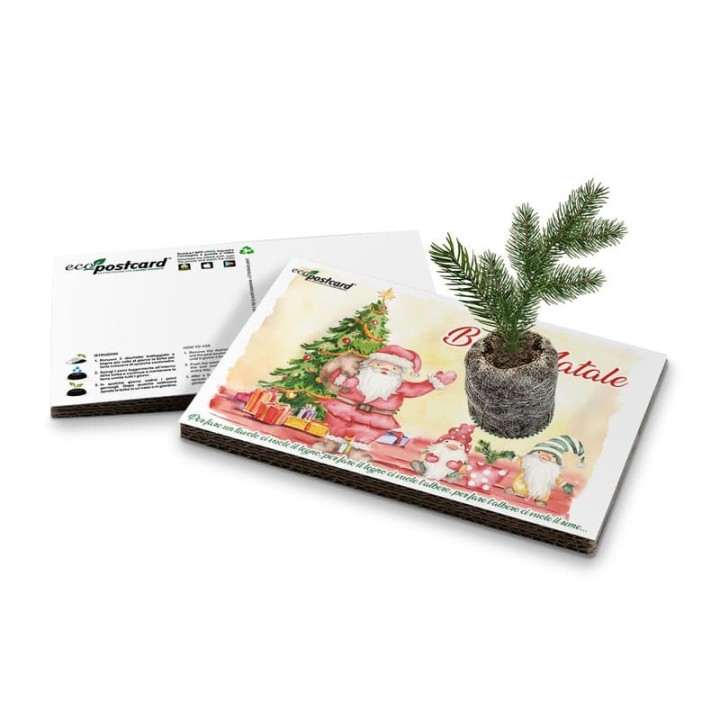 Eco-Postcard cartolina natalizia con pianta di Abete